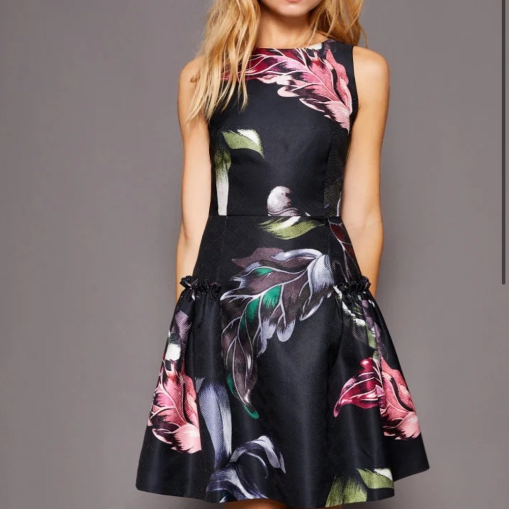 Ted Baker SARAHE Eden Print Skater Dress Size 0
